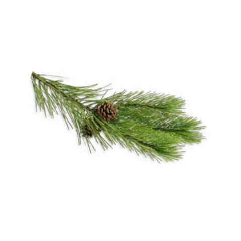 Bastudoft Bergtall - Bastutillbehör