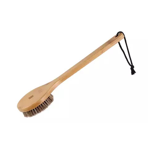 Badborste bambu