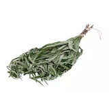 Basturuska Eukalyptus