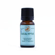 Bastudoft Eukalyptus 10 ml - Bastutillbehör